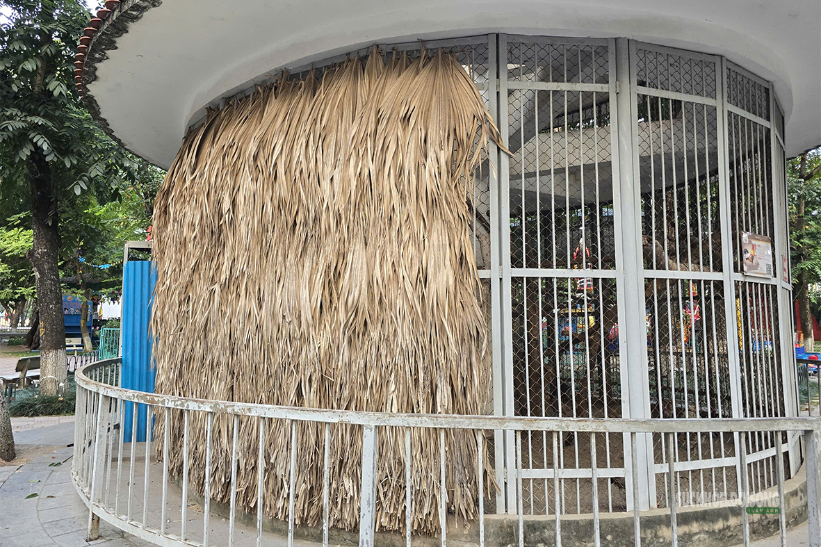 Công viên Thủ Lệ trước cuộc chuyển mình thành vườn thú sinh thái - Ảnh 8.