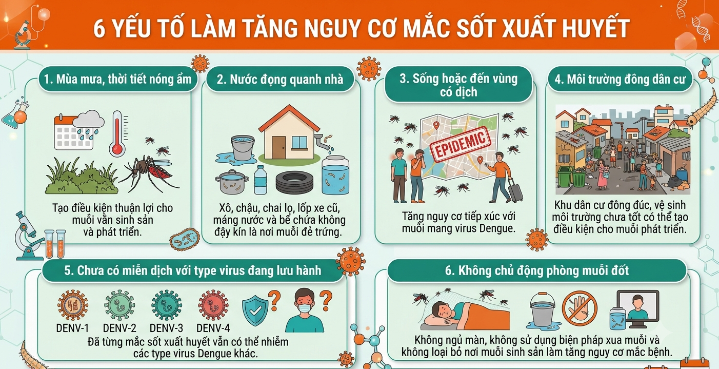 Sốt xuất huyết: Nhận biết dấu hiệu cảnh báo, phòng ngừa biến chứng nguy hiểm - Ảnh 2.