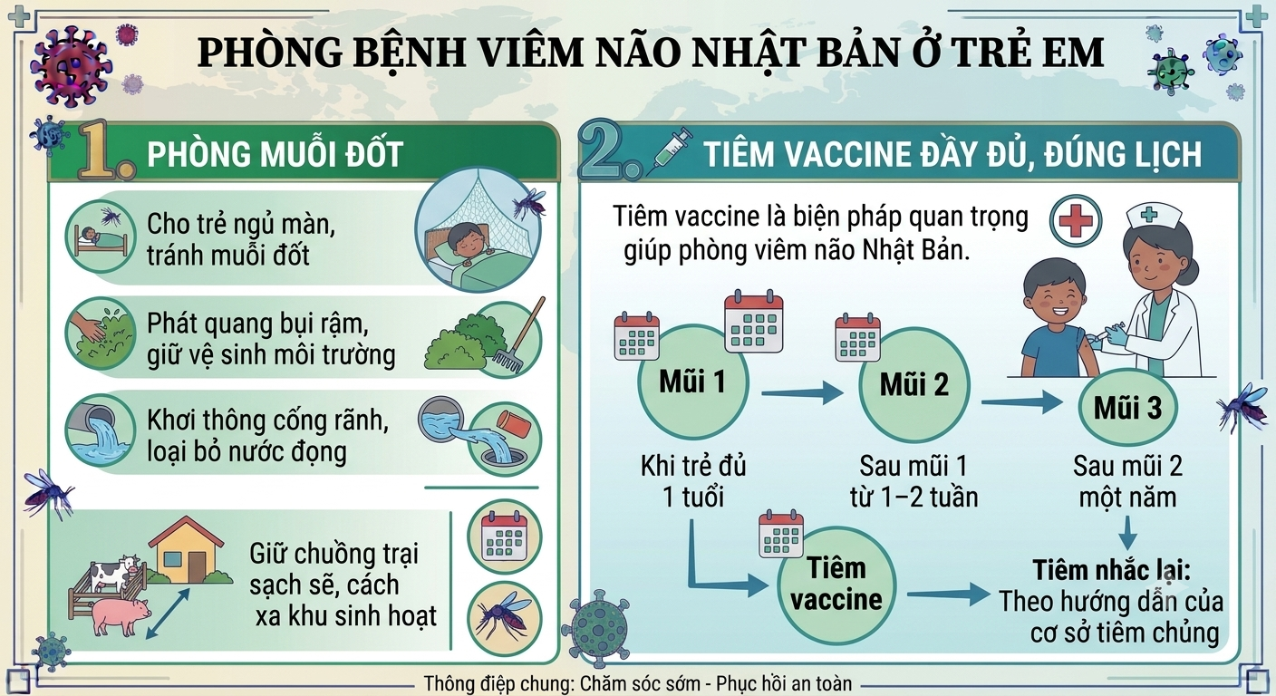 Viêm não Nhật Bản ở trẻ em: Nhận biết sớm, phòng ngừa biến chứng nguy hiểm - Ảnh 5.