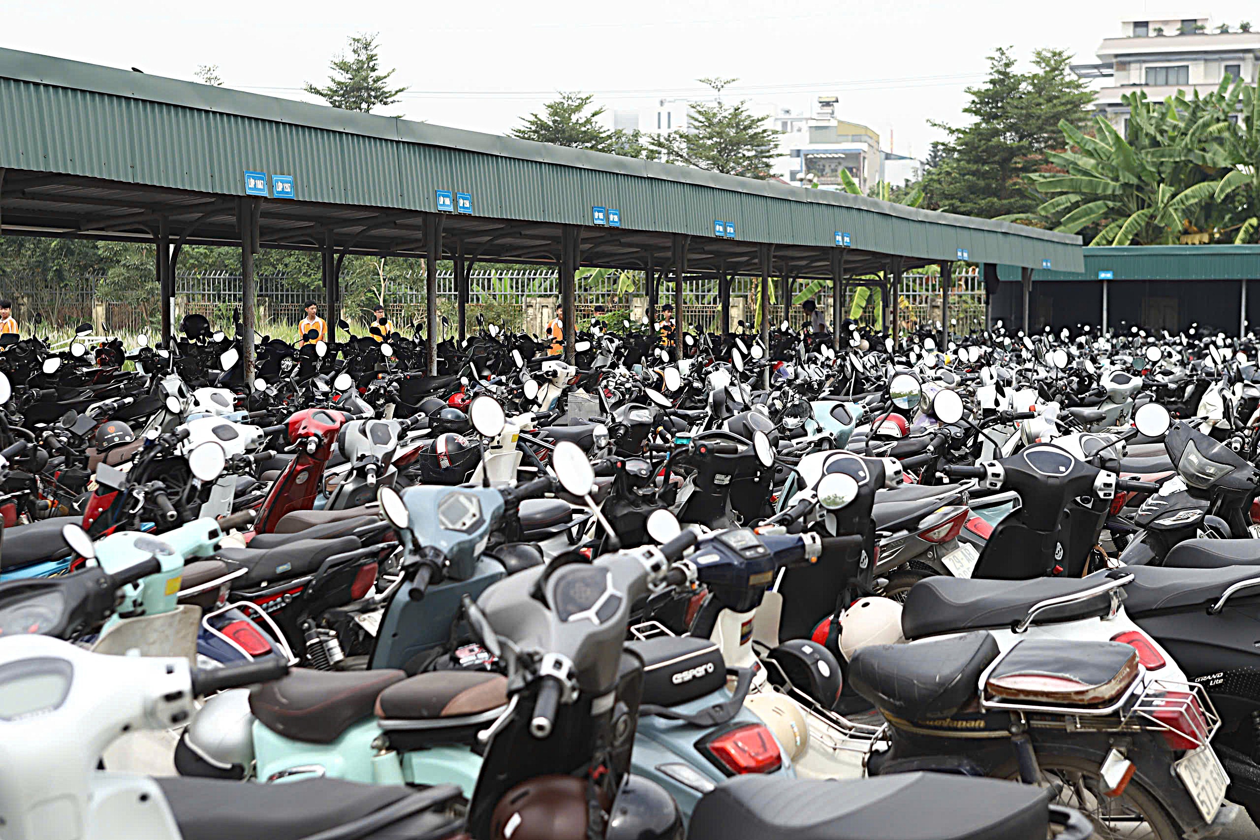 Hà Nội xử lý 1.320 trường hợp học sinh vi phạm giao thông trong 7 ngày - Ảnh 2.