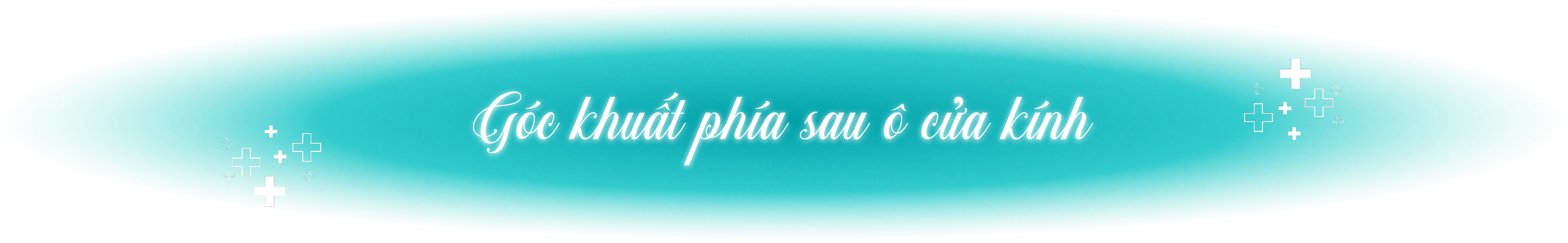 TS.BS Hoàng Trọng Hanh - Người hồi sinh tôi từ tro tàn tuyệt vọng - Ảnh 6.