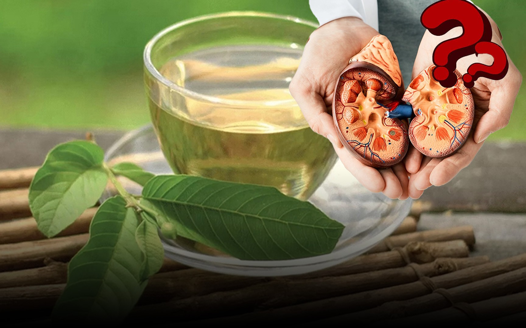 Nên bảo để trà lá ổi trong tủ lạnh bao lâu? - Ảnh 3.