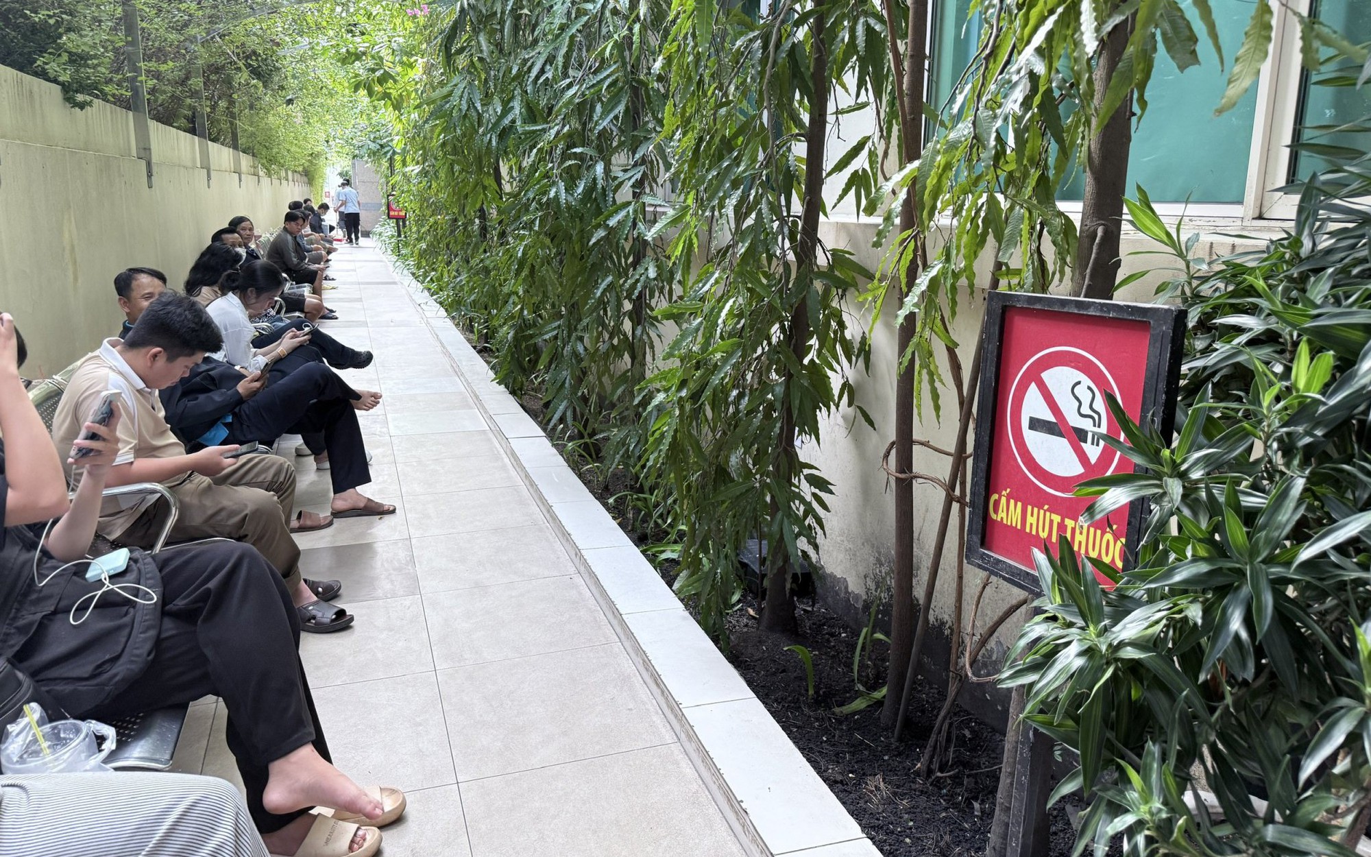 Xây dựng một hệ thống chăm sóc sức khỏe xanh và chống chịu biến đổi khí hậu- Ảnh 3.