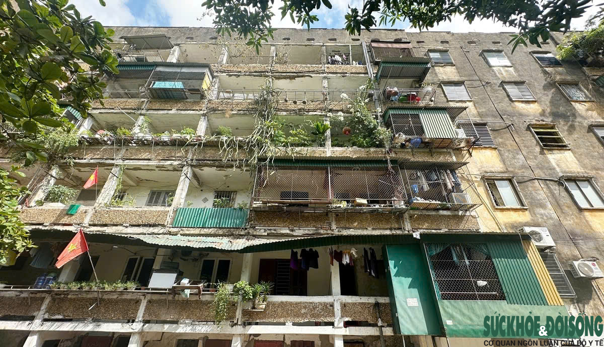 Rời chung cư xuống cấp ở Nghệ An, hàng trăm hộ dân chờ ngày về nhà mới- Ảnh 2.