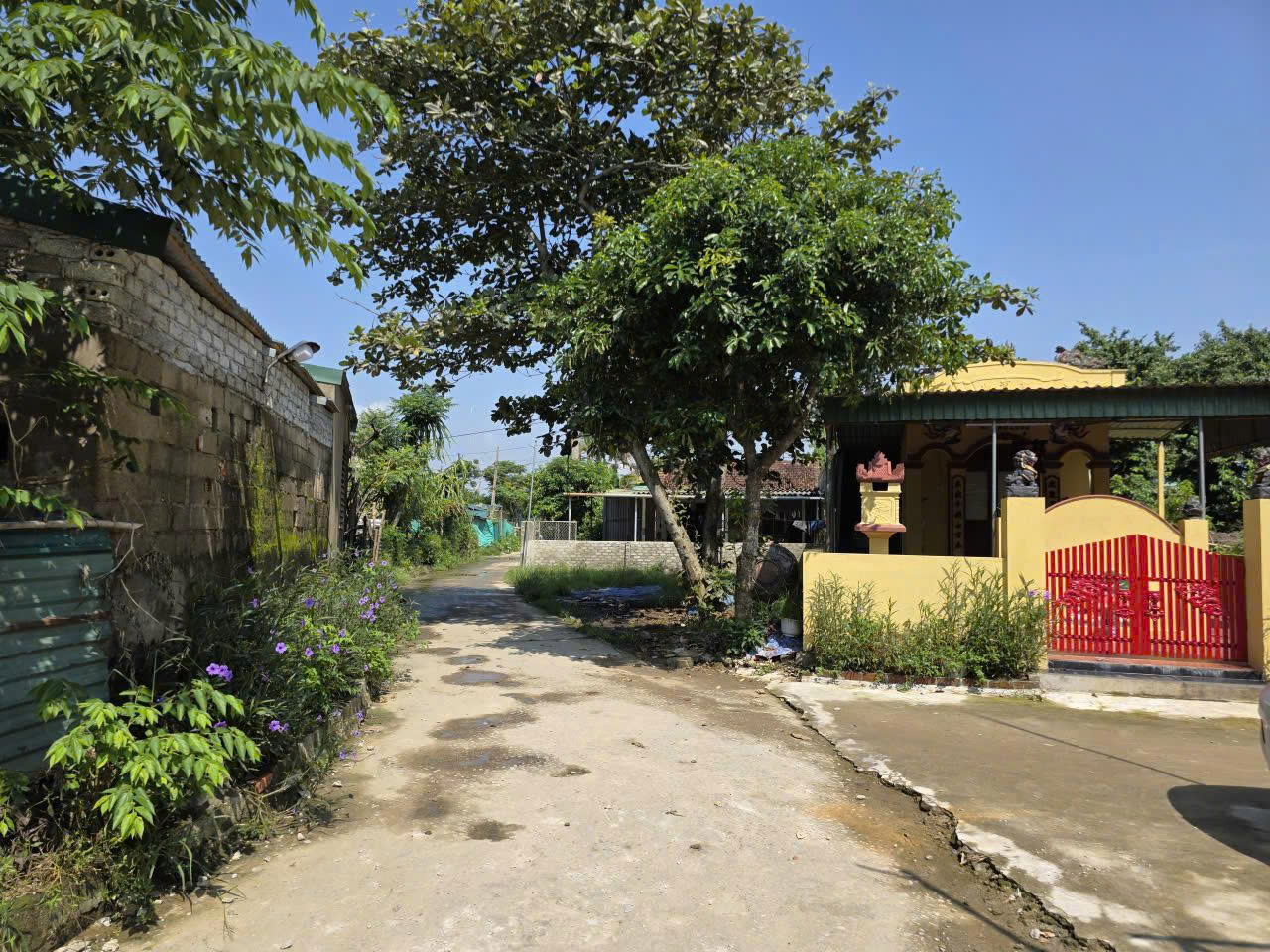 Hơn mười năm chờ tái định cư, người dân ven sông Lam thấp thỏm chạy lũ- Ảnh 4.