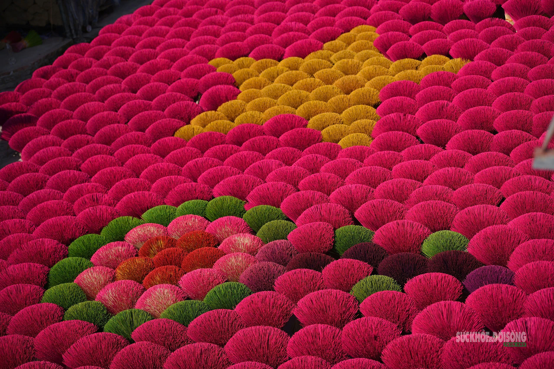 Sắc Tết rực rỡ tại làng hương Quảng Phú Cầu- Ảnh 1.