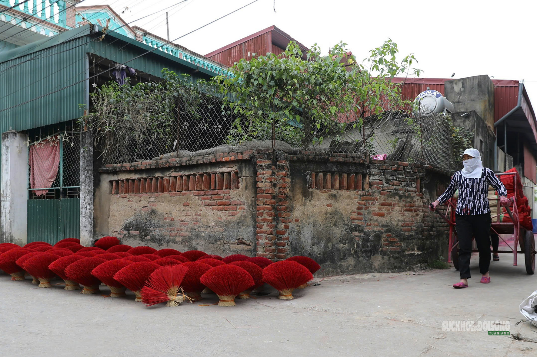 Sắc Tết rực rỡ tại làng hương Quảng Phú Cầu- Ảnh 7.