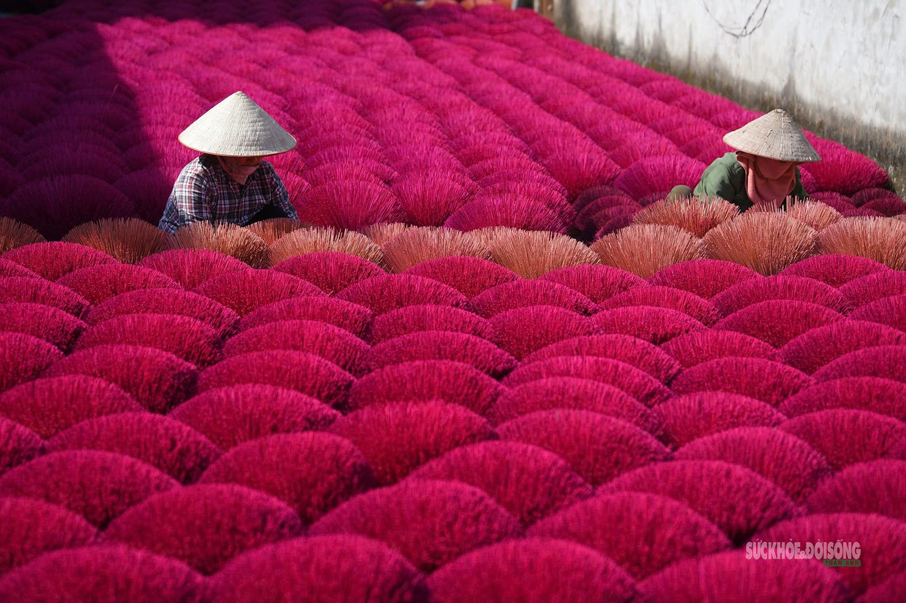 Sắc Tết rực rỡ tại làng hương Quảng Phú Cầu- Ảnh 10.