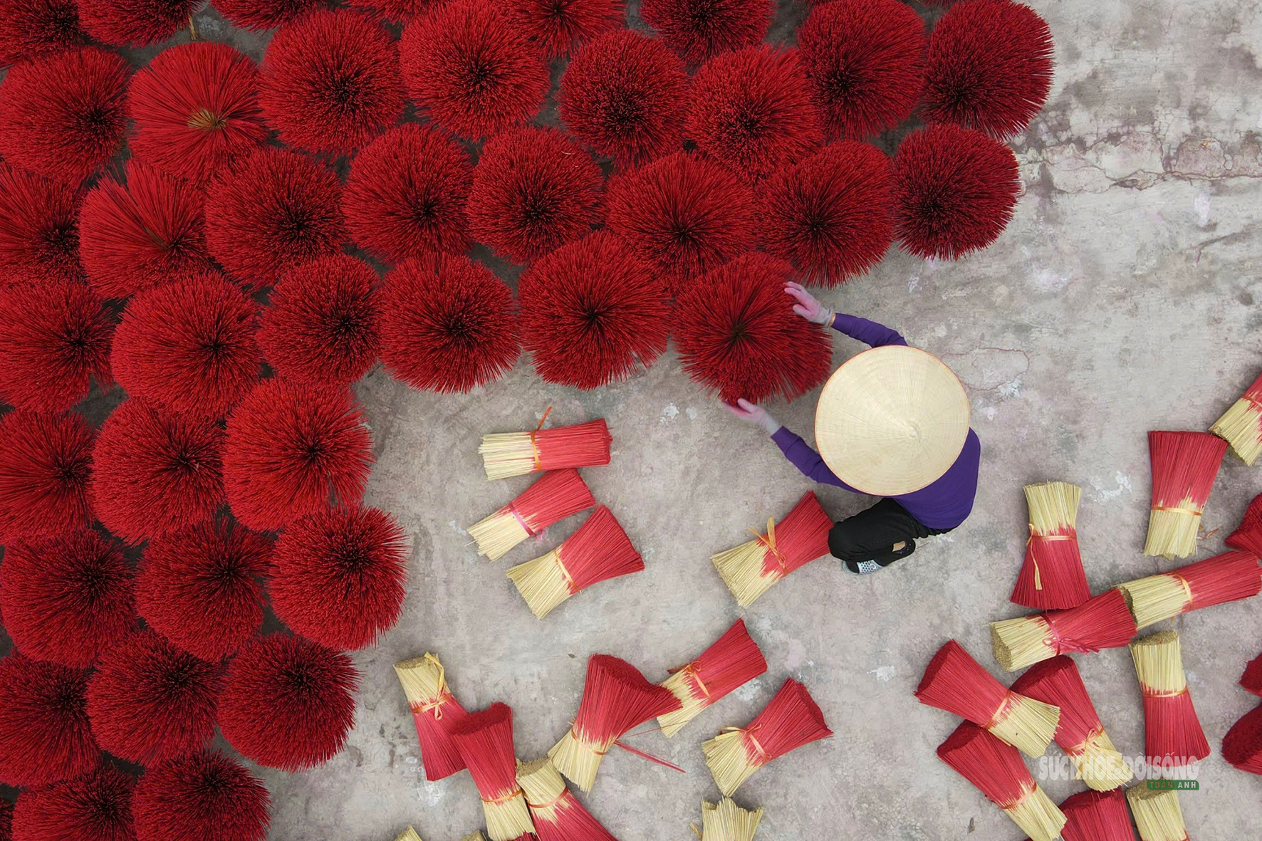 Sắc Tết rực rỡ tại làng hương Quảng Phú Cầu- Ảnh 5.