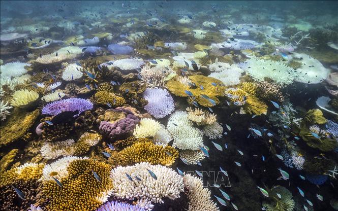 Miền Bắc sắp tăng nhiệt mạnh, nắng nóng đến 30 độ- Ảnh 3.