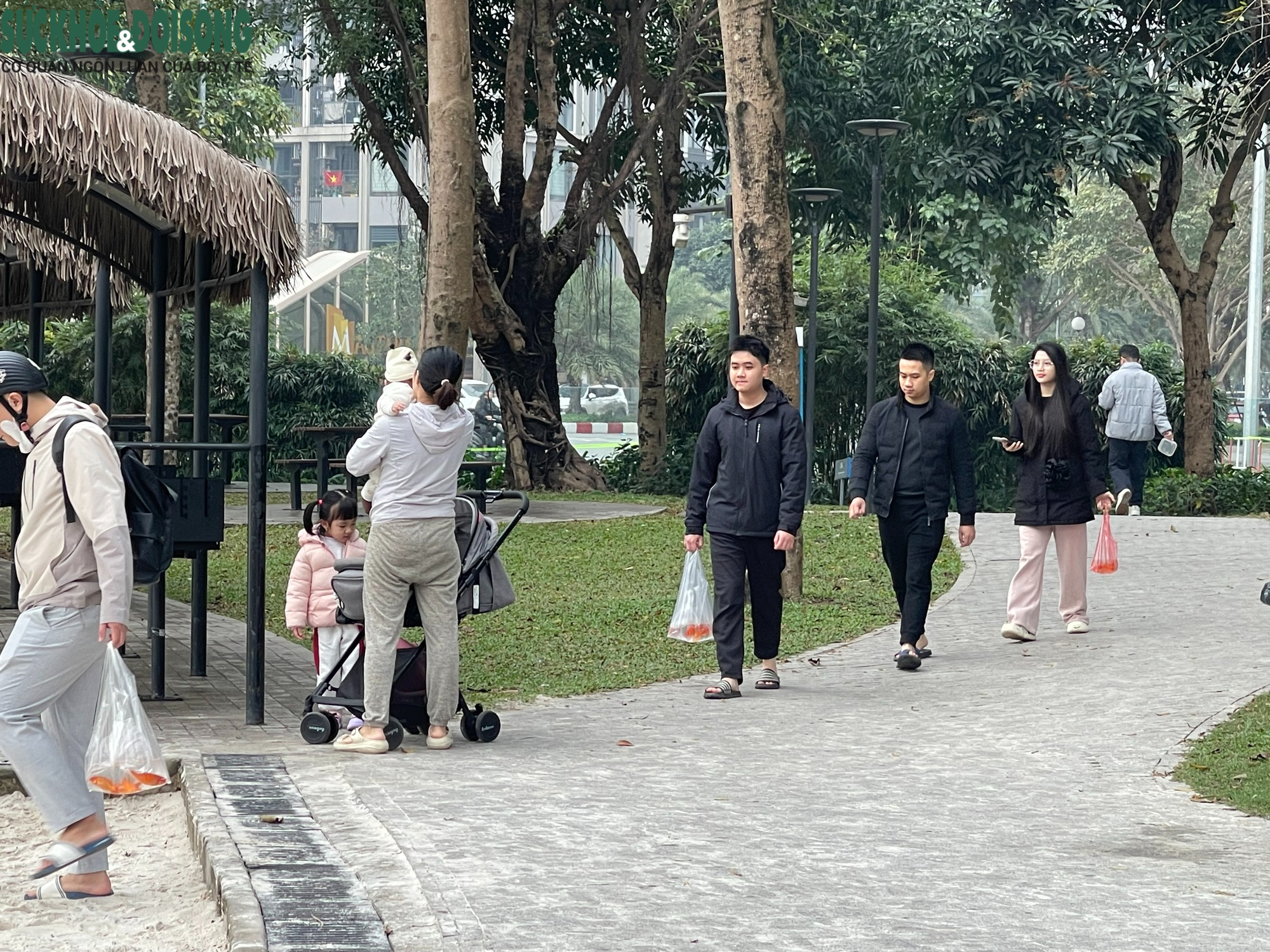 Đưa cả gia đình đi thả cá chép ngày ông Công ông Táo- Ảnh 1.