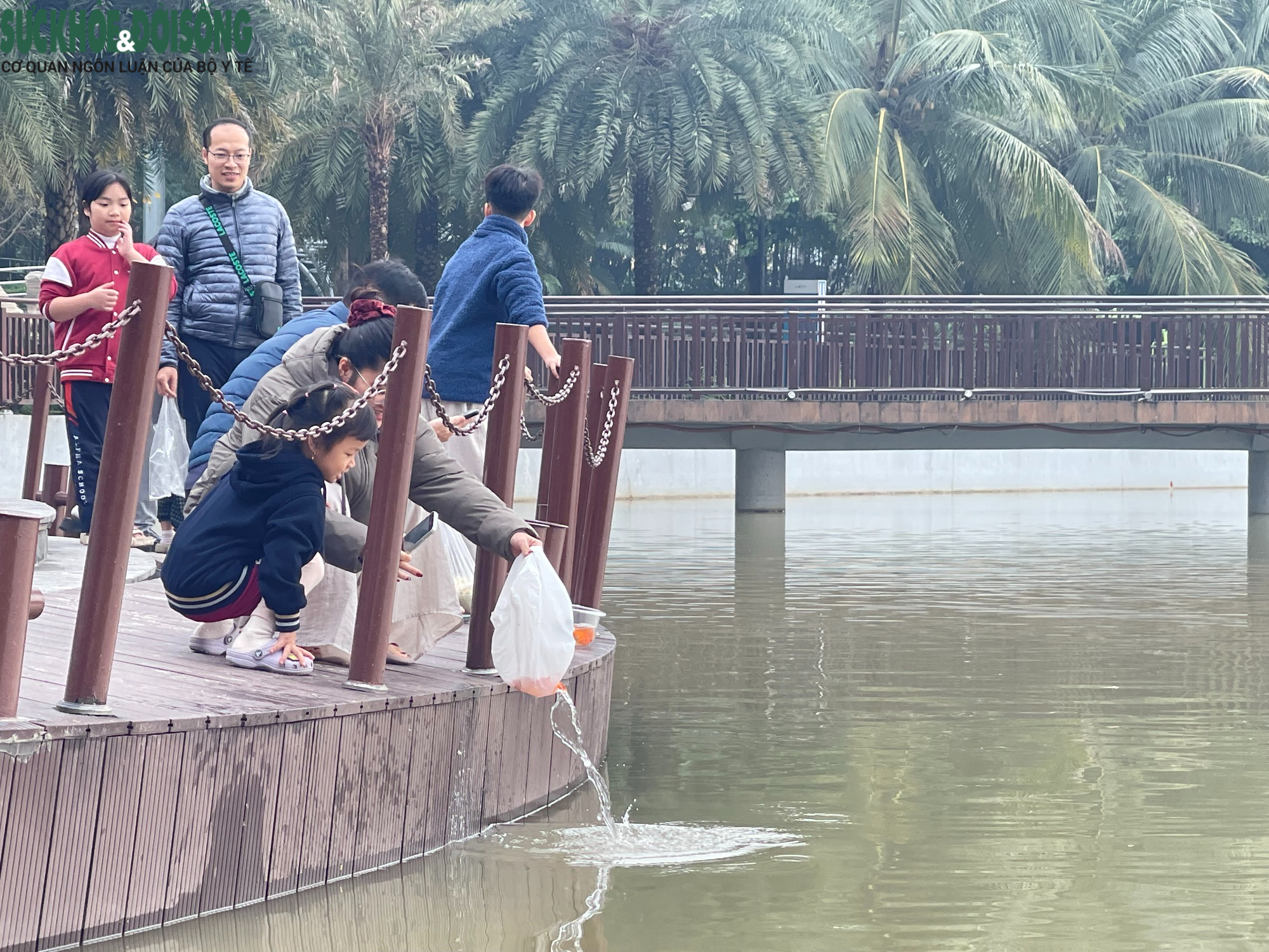 Đưa cả gia đình đi thả cá chép ngày ông Công ông Táo- Ảnh 2.