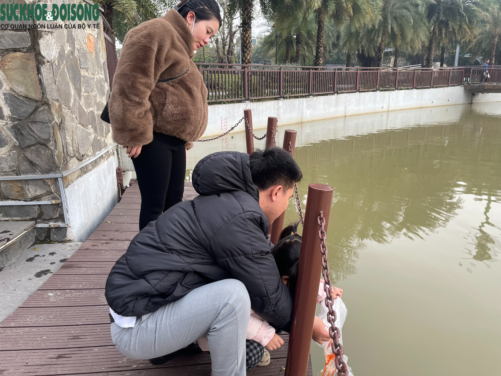 Đưa cả gia đình đi thả cá chép ngày ông Công ông Táo- Ảnh 5.