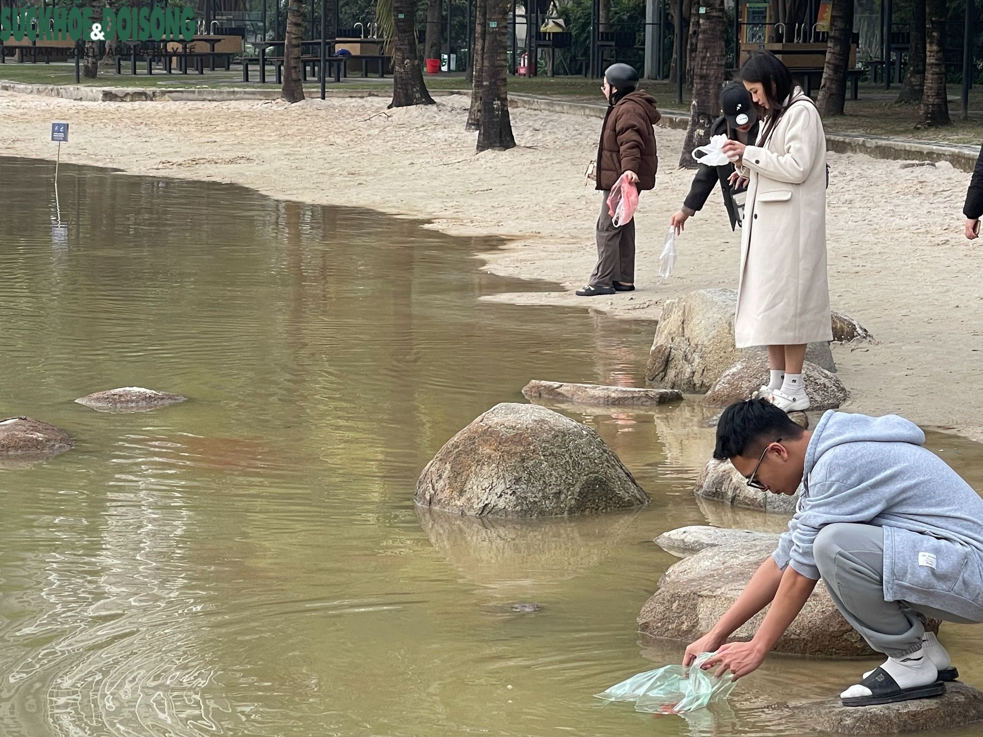 Đưa cả gia đình đi thả cá chép ngày ông Công ông Táo- Ảnh 6.