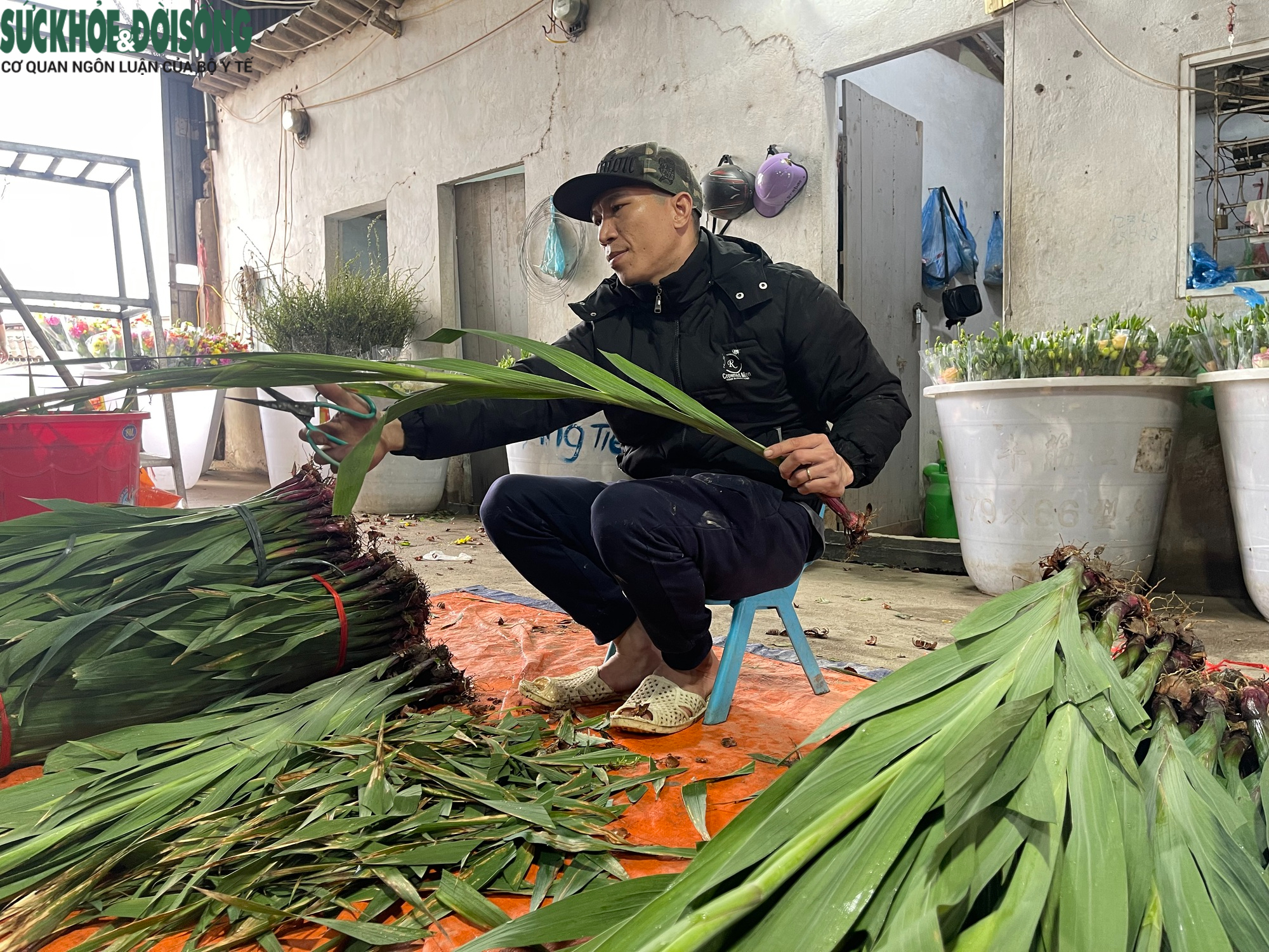 Cận Tết ở làng hoa Tây Tựu: Đơn hàng gấp 3-4 lần, người làm không kịp nghỉ- Ảnh 3.