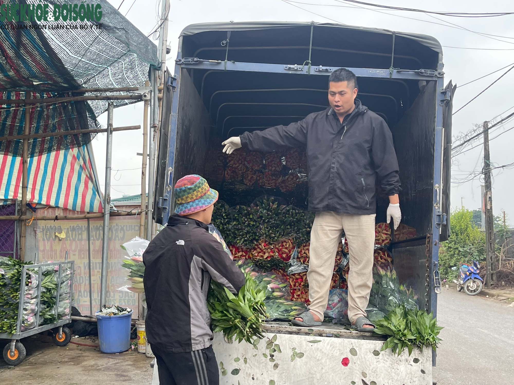 Cận Tết ở làng hoa Tây Tựu: Đơn hàng gấp 3-4 lần, người làm không kịp nghỉ- Ảnh 5.