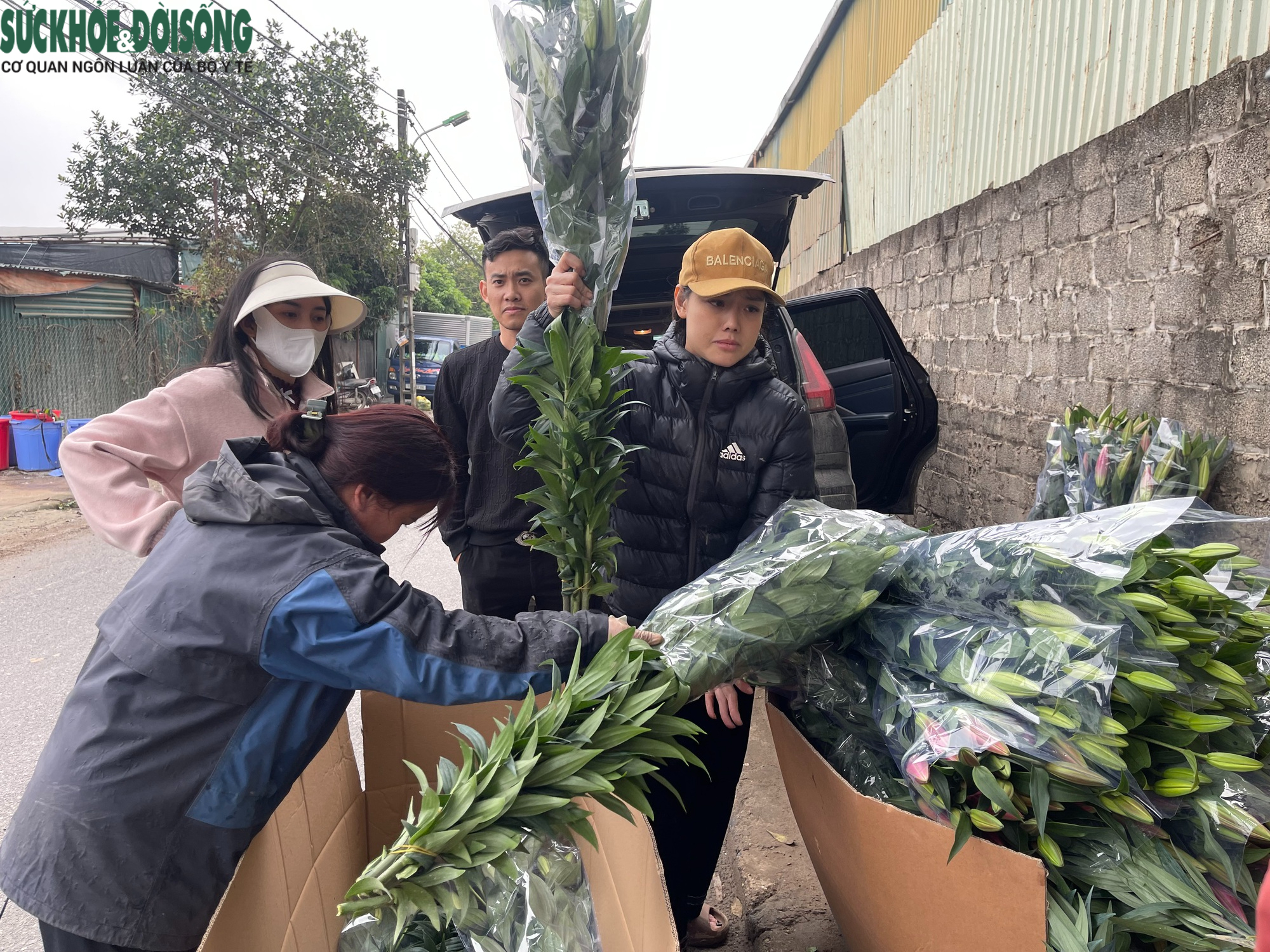 Cận Tết ở làng hoa Tây Tựu: Đơn hàng gấp 3-4 lần, người làm không kịp nghỉ- Ảnh 6.