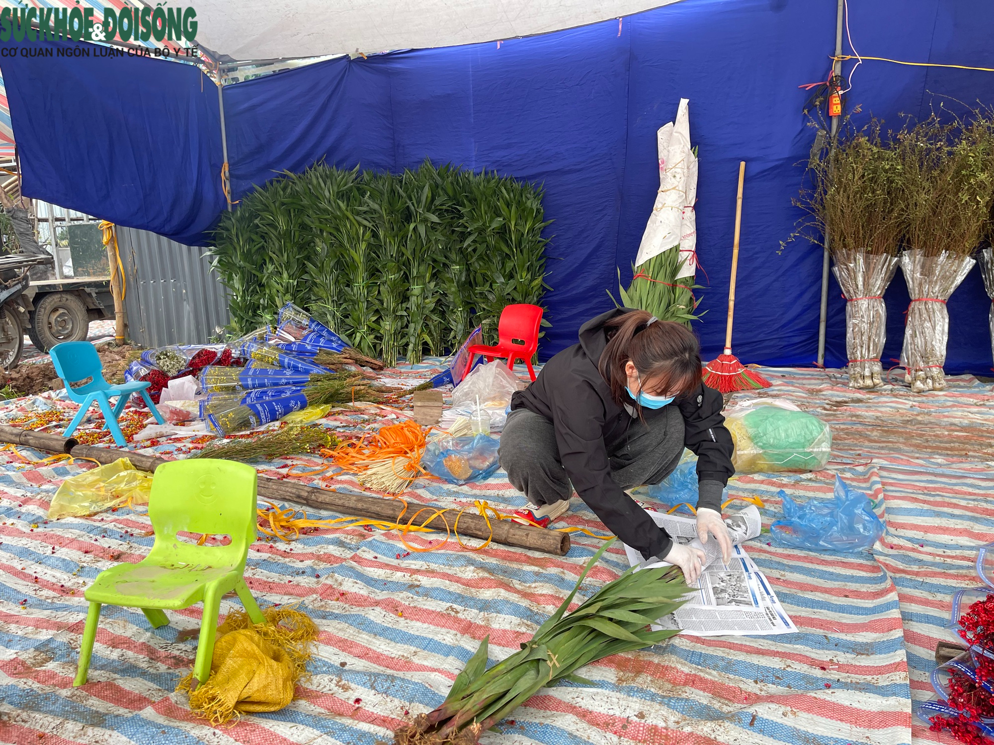 Cận Tết ở làng hoa Tây Tựu: Đơn hàng gấp 3-4 lần, người làm không kịp nghỉ- Ảnh 8.