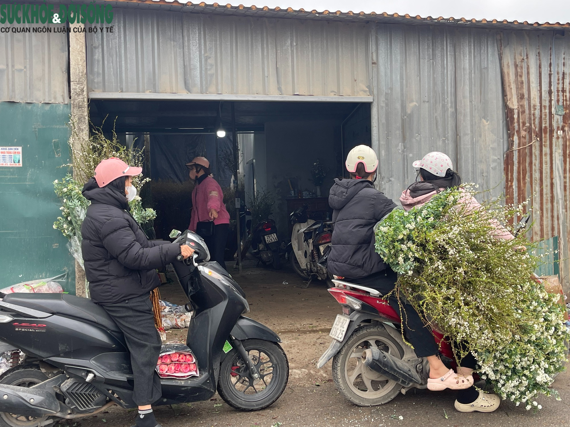 Cận Tết ở làng hoa Tây Tựu: Đơn hàng gấp 3-4 lần, người làm không kịp nghỉ- Ảnh 9.