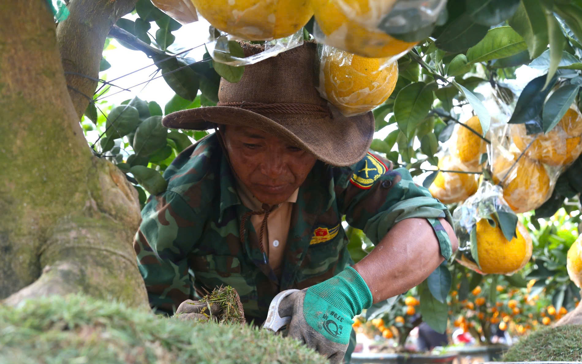 Cận Tết, làng nước mắm truyền thống Cà Ná tất bật sản xuất trong nỗi lo sức mua giảm- Ảnh 6.