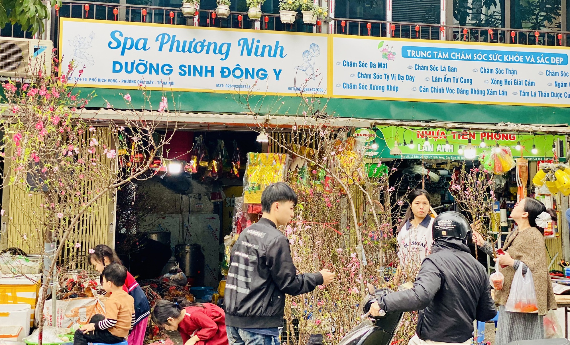 Đào mini giá vài chục nghìn đồng/cành hút khách chơi dịp Tết 2026- Ảnh 3.