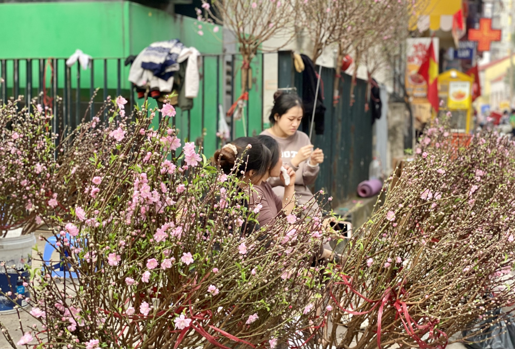 Đào mini giá vài chục nghìn đồng/cành hút khách chơi dịp Tết 2026- Ảnh 5.