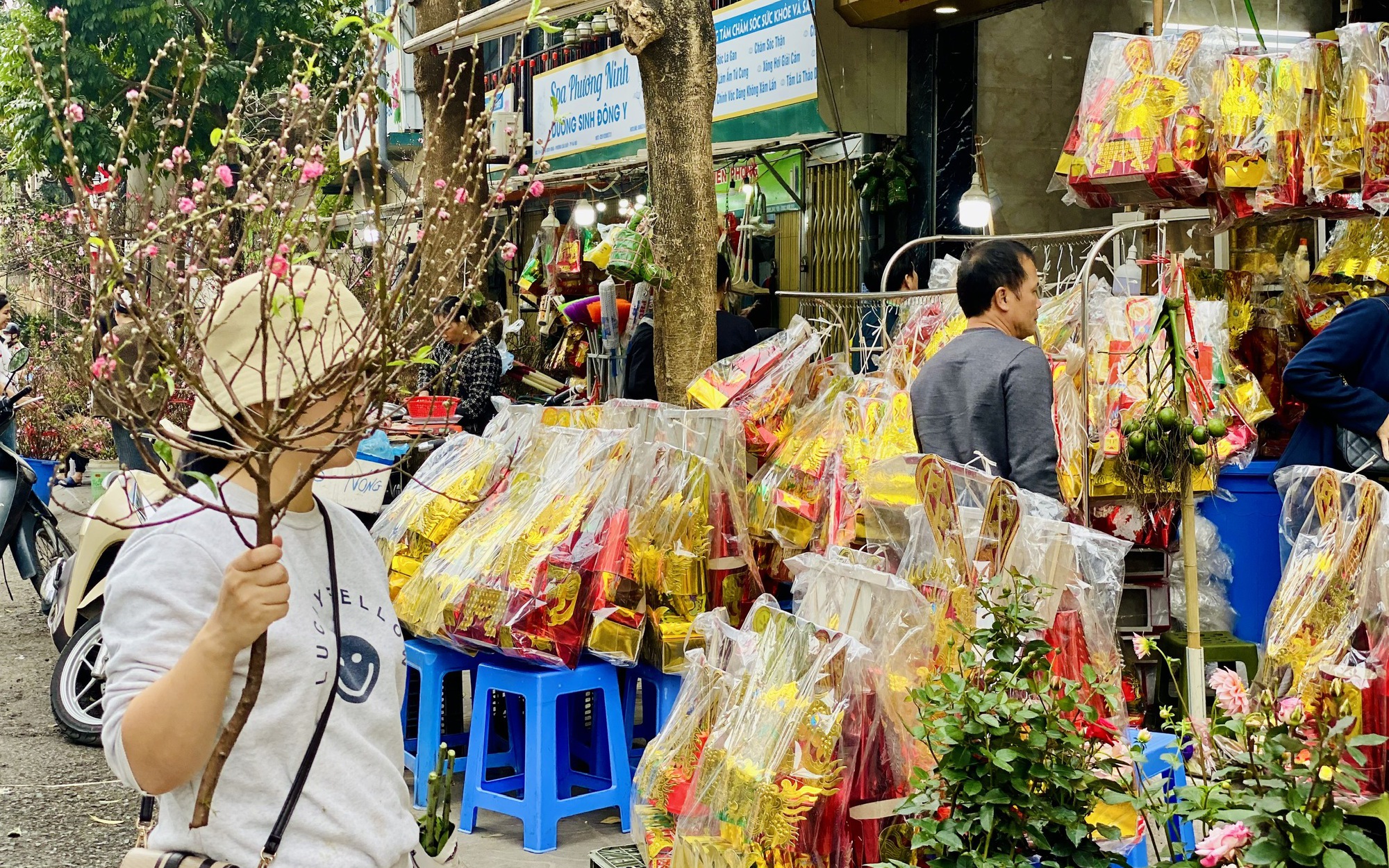 Đào mini giá vài chục nghìn đồng/cành hút khách chơi dịp Tết 2026