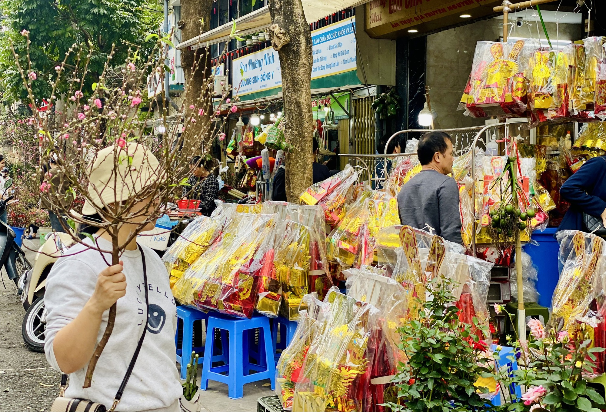 Đào mini giá vài chục nghìn đồng/cành hút khách chơi dịp Tết 2026- Ảnh 1.