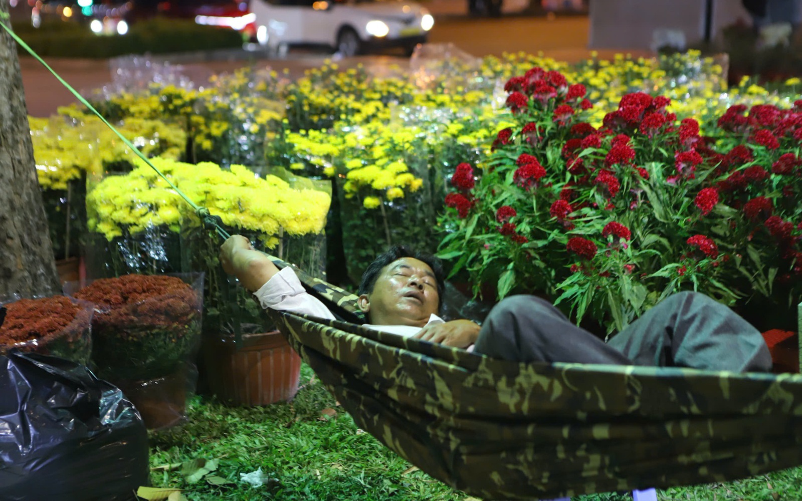 Tiểu thương mắc võng, xuyên đêm canh hoa Tết ở TPHCM