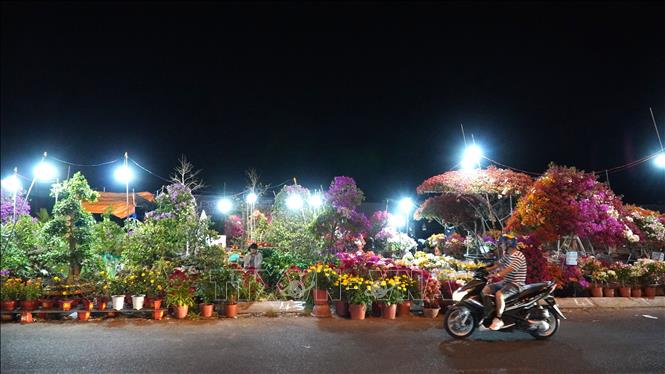 Thị trường hoa, cây cảnh Tết: Nơi trầm lắng, nơi cháy hàng- Ảnh 1. Thị trường hoa, cây cảnh Tết: Nơi trầm lắng, nơi cháy hàng- Ảnh 1.