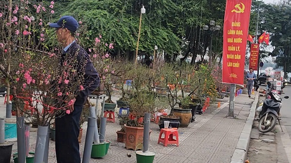 Chợ hoa Tết Tây Hồ: Đường phố thông thoáng, tiểu thương buôn bán trong trật tự- Ảnh 1. Chợ hoa Tết Tây Hồ: Đường phố thông thoáng, tiểu thương buôn bán trong trật tự- Ảnh 1.