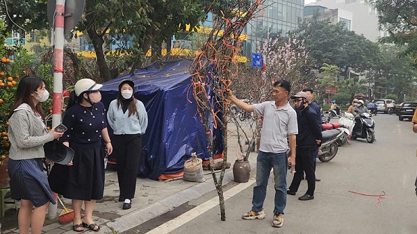 Chợ hoa Tết Tây Hồ: Đường phố thông thoáng, tiểu thương buôn bán trong trật tự- Ảnh 9. Chợ hoa Tết Tây Hồ: Đường phố thông thoáng, tiểu thương buôn bán trong trật tự- Ảnh 9.