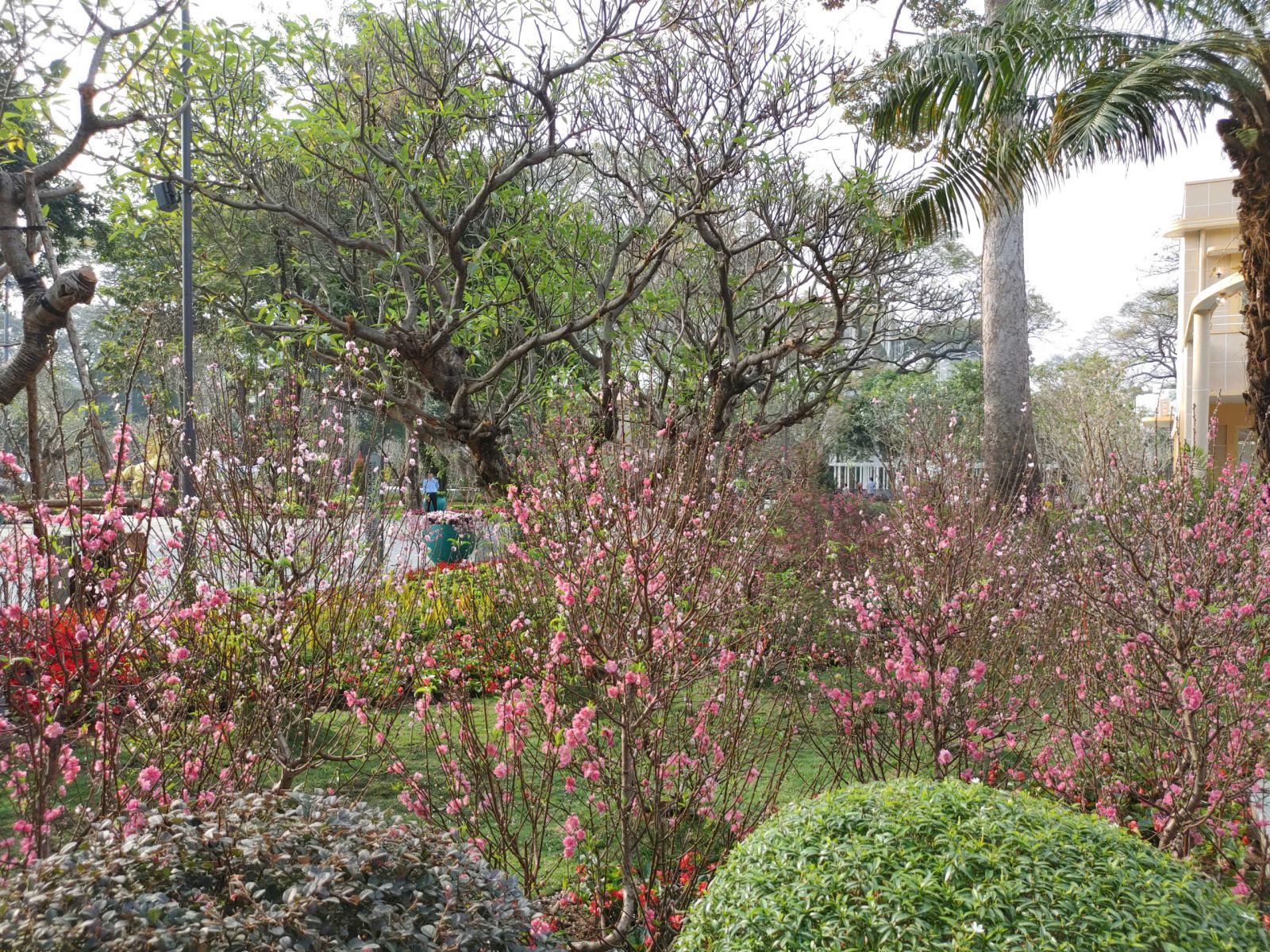 Công viên tưởng niệm nạn nhân COVID-19 hút khách ngày cận Tết- Ảnh 10. Công viên tưởng niệm nạn nhân COVID-19 hút khách ngày cận Tết- Ảnh 10.