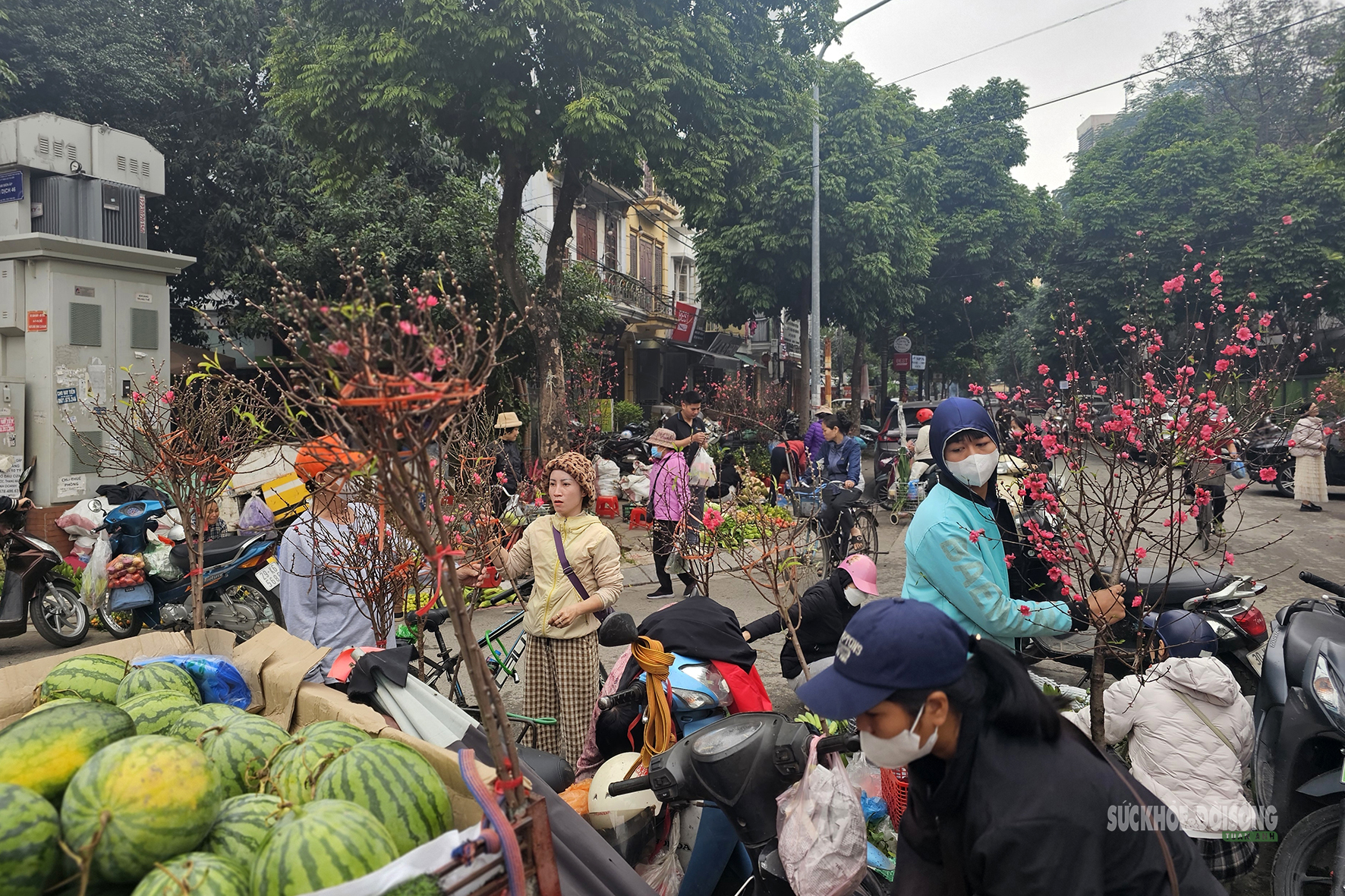 Sắc màu Tết quê giữa lòng Thủ đô- Ảnh 2.