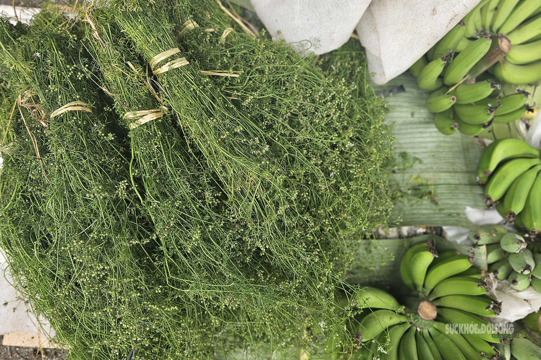 Sắc màu Tết quê giữa lòng Thủ đô- Ảnh 6.