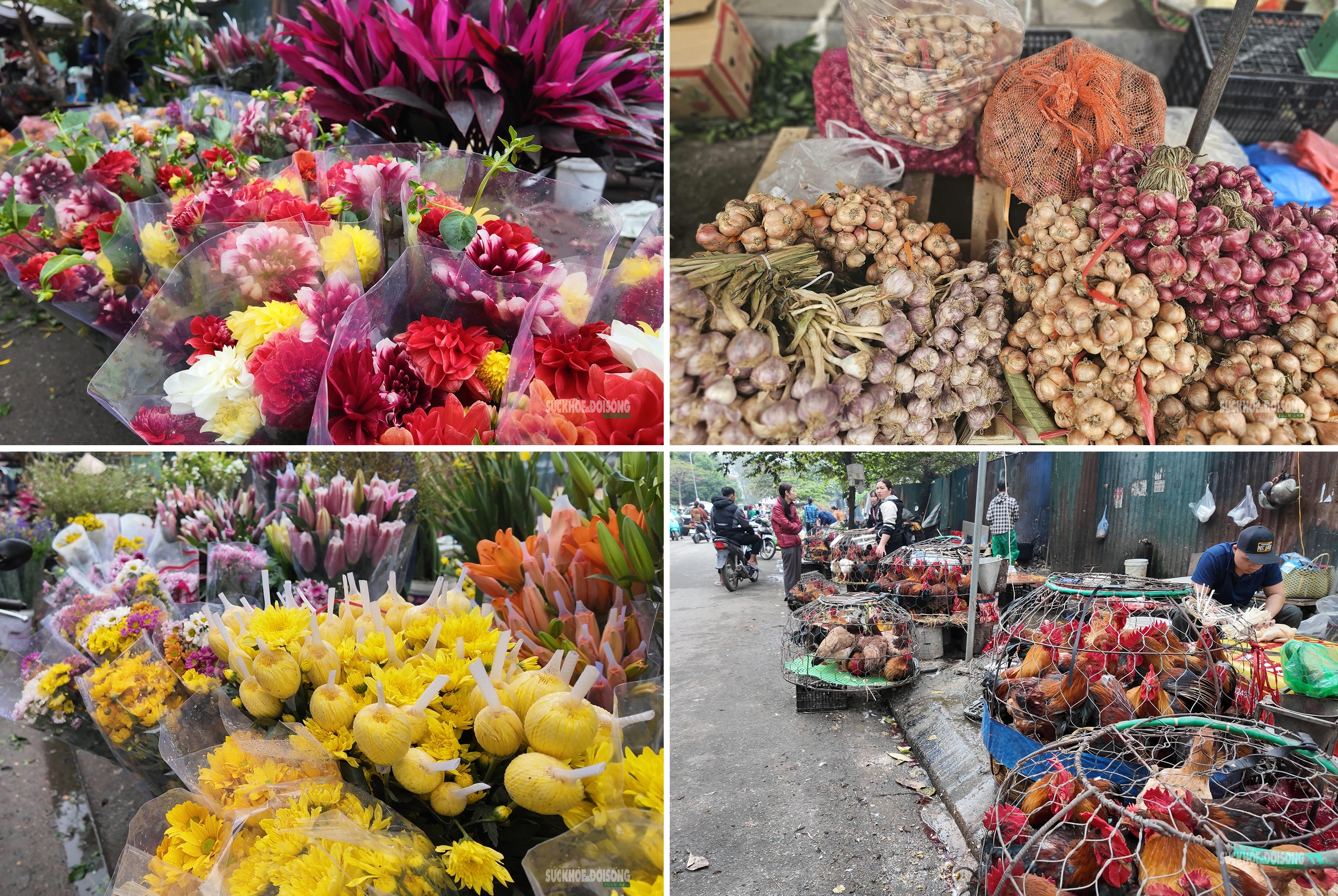 Sắc màu Tết quê giữa lòng Thủ đô- Ảnh 8.