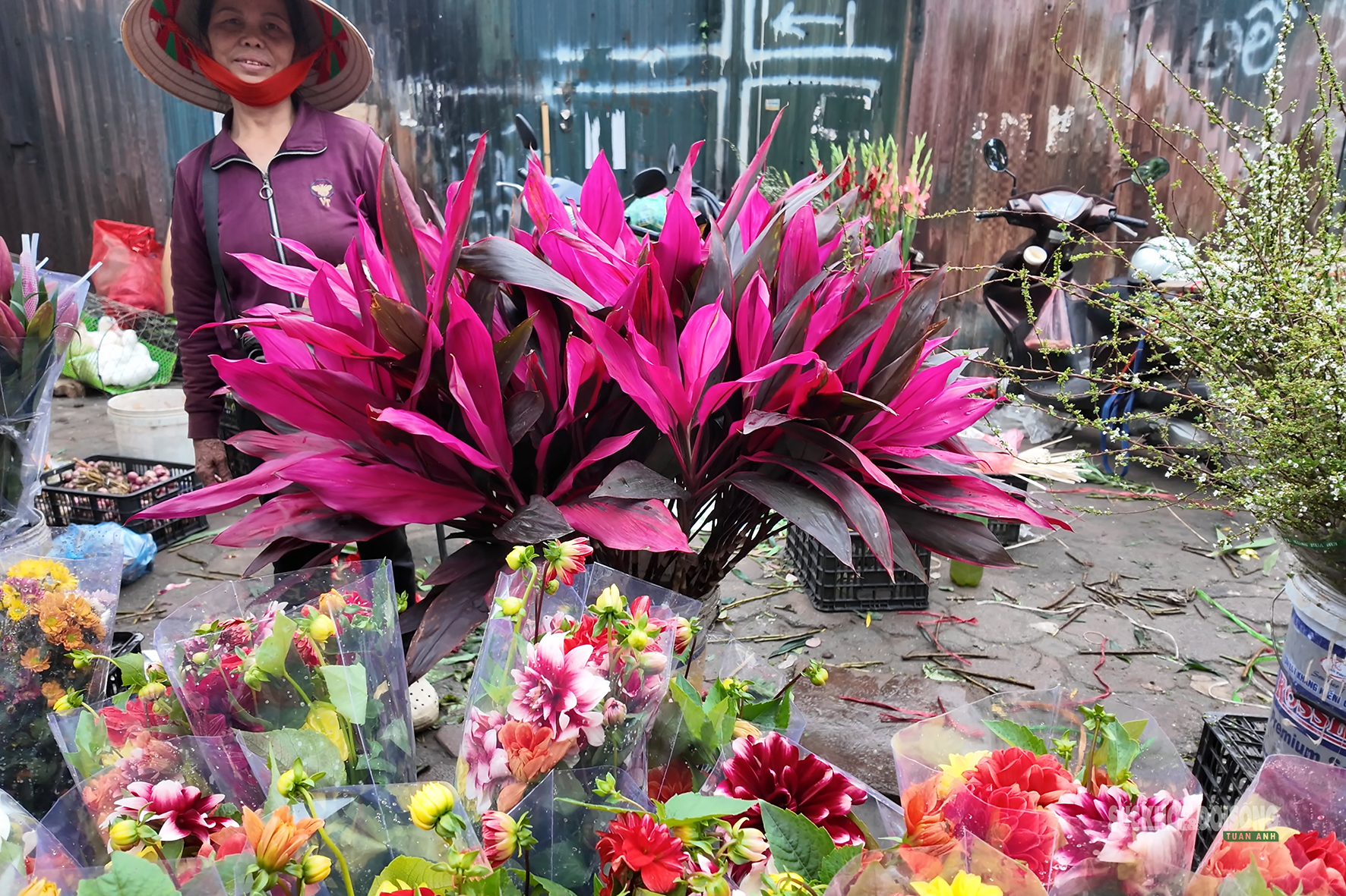 Sắc màu Tết quê giữa lòng Thủ đô- Ảnh 7.