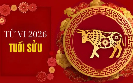 Tử vi tuổi Dần 2026: Dự báo cát lành, phát triển vượt bậc- Ảnh 4.