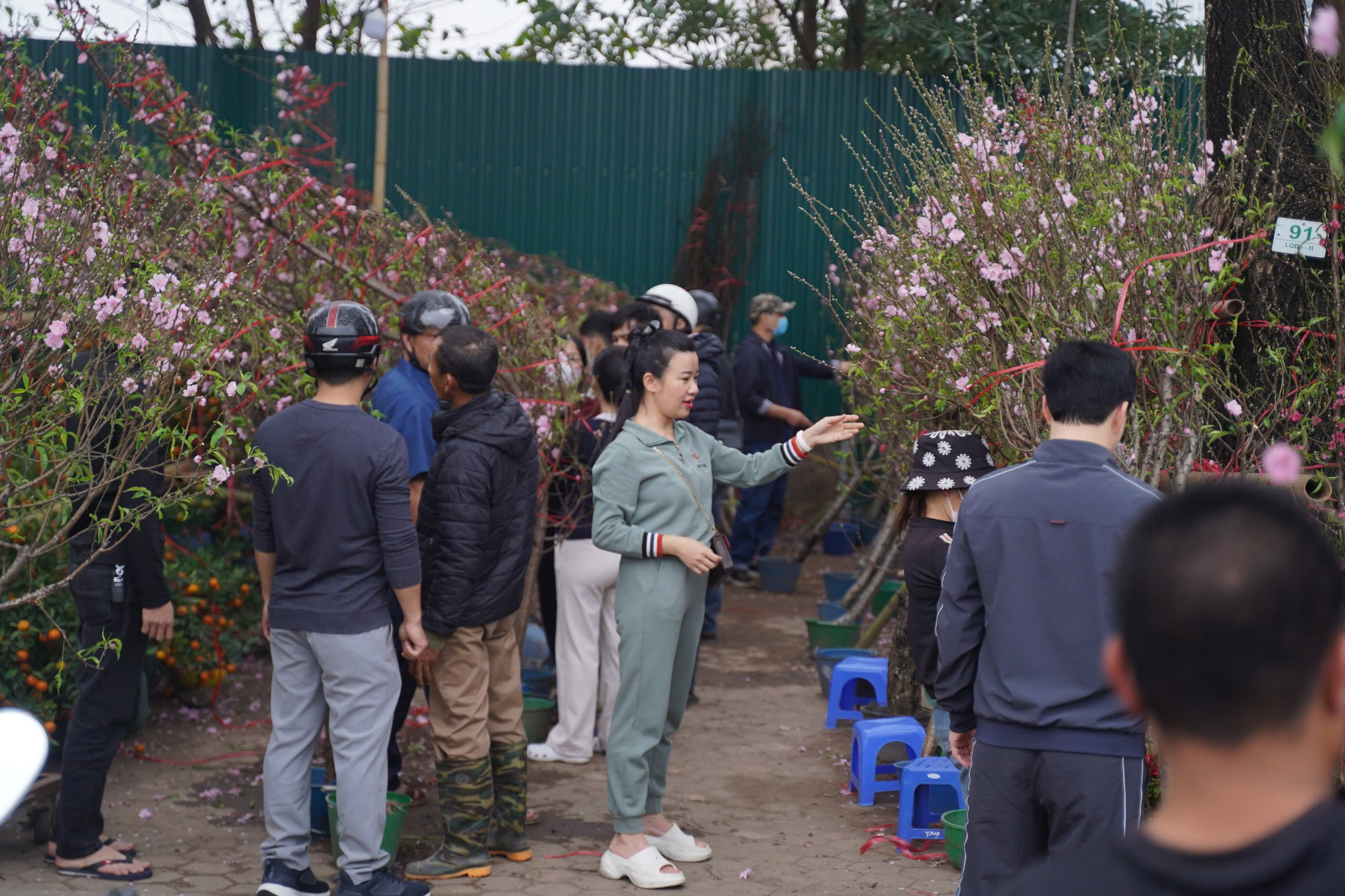 Người dân háo hức đi săn đào quất "đồng giá'- Ảnh 4.