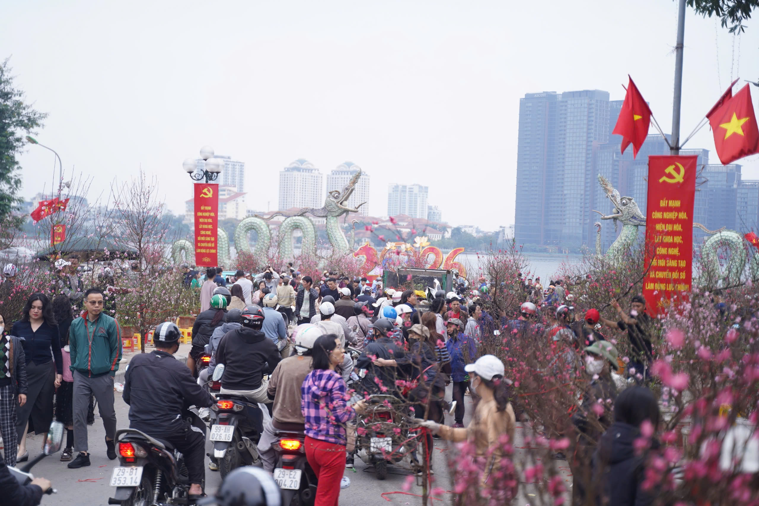 Người dân háo hức đi săn đào quất "đồng giá'- Ảnh 2.