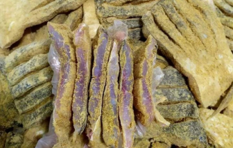 Bộ Y tế vào cuộc vụ người dân nghi ngộ độc sau ăn cá ủ chua- Ảnh 1.