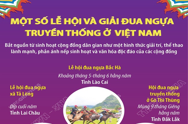 Hàng ngàn người dân thích thú xem nông dân trổ tài đua ngựa- Ảnh 12.