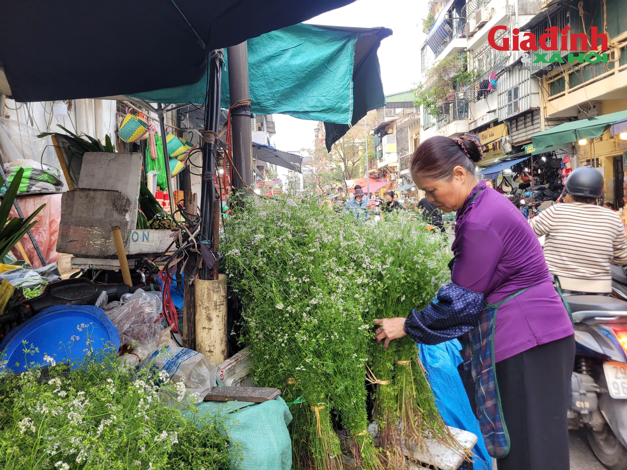 Giữ hương Tết xưa bằng nồi nước mùi già đầu năm, giá chỉ từ 20.000 đồng/bó- Ảnh 2.