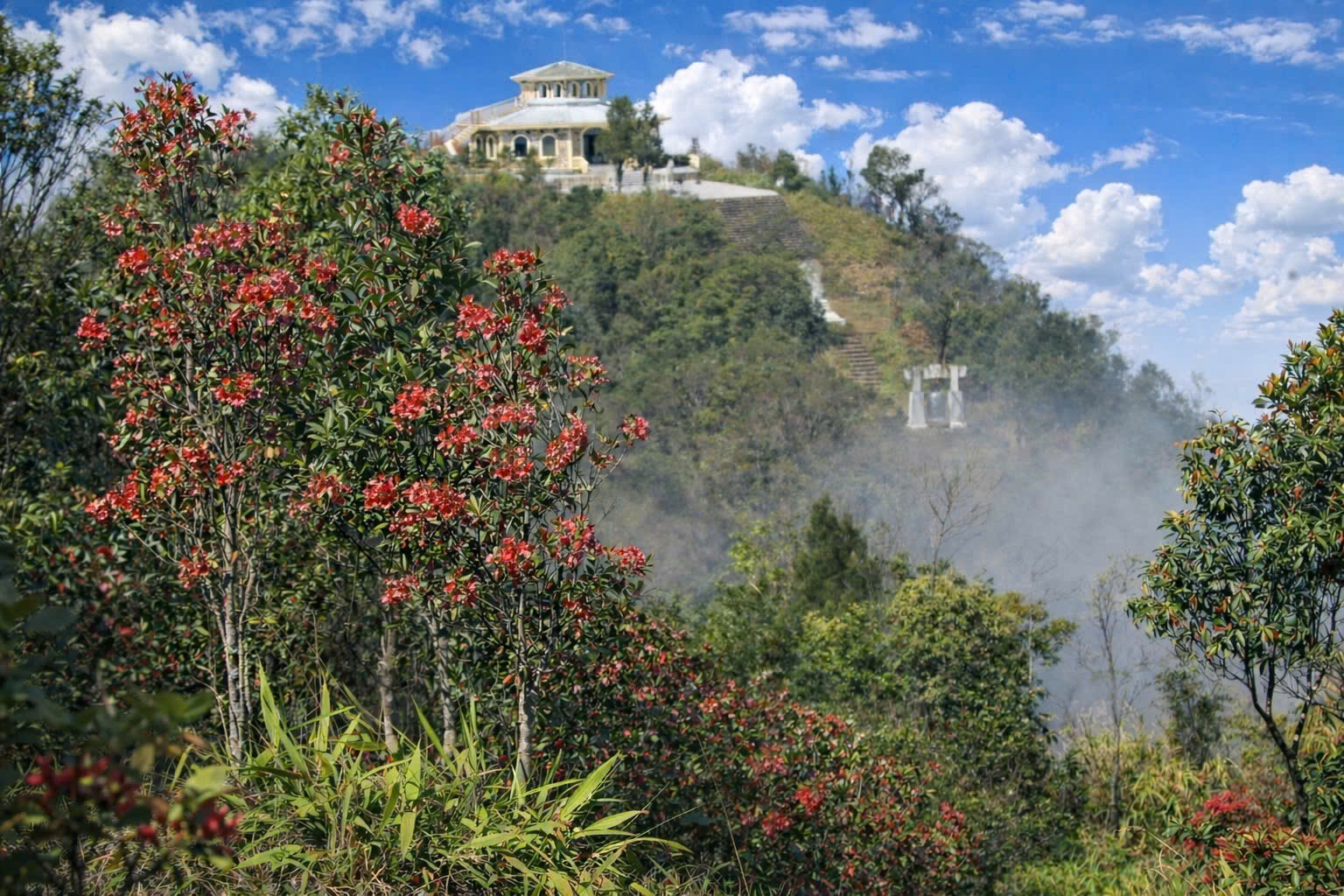 Say đắm sắc hoa mùa xuân giữa đại ngàn Bạch Mã- Ảnh 9. Say đắm sắc hoa mùa xuân giữa đại ngàn Bạch Mã- Ảnh 9.