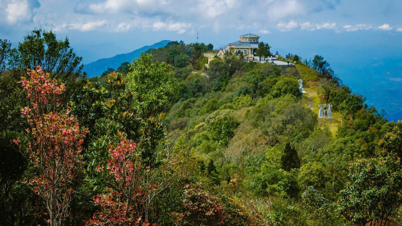 Say đắm sắc hoa mùa xuân giữa đại ngàn Bạch Mã- Ảnh 2. Say đắm sắc hoa mùa xuân giữa đại ngàn Bạch Mã- Ảnh 2.
