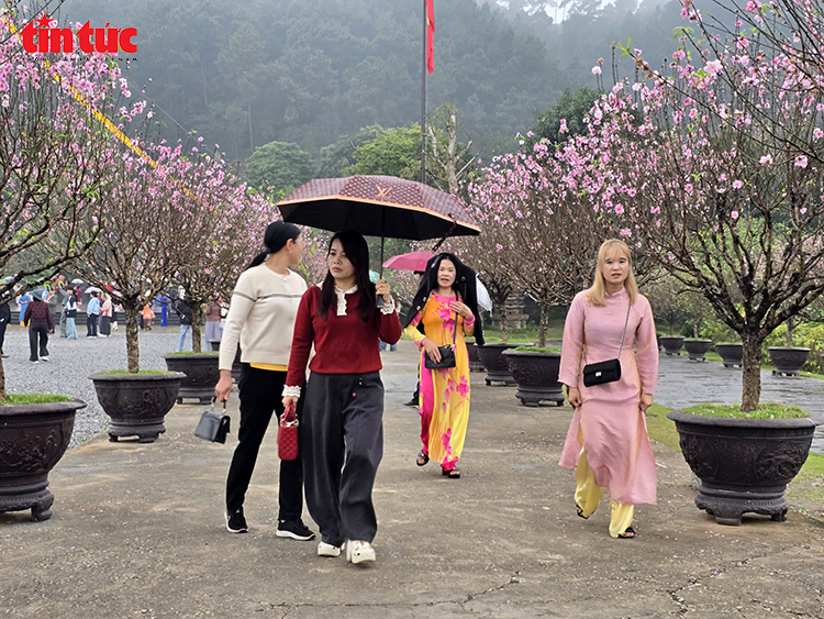 Khách thập phương đội mưa xuân vãn cảnh chùa Địa Tạng Phi Lai- Ảnh 1.
