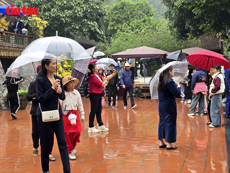 Khách thập phương đội mưa xuân vãn cảnh chùa Địa Tạng Phi Lai- Ảnh 4.