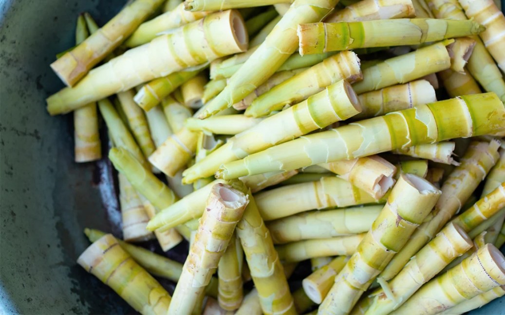 7 bài thuốc chữa bệnh từ măng tre- Ảnh 3. Măng tre có tác dụng gì?