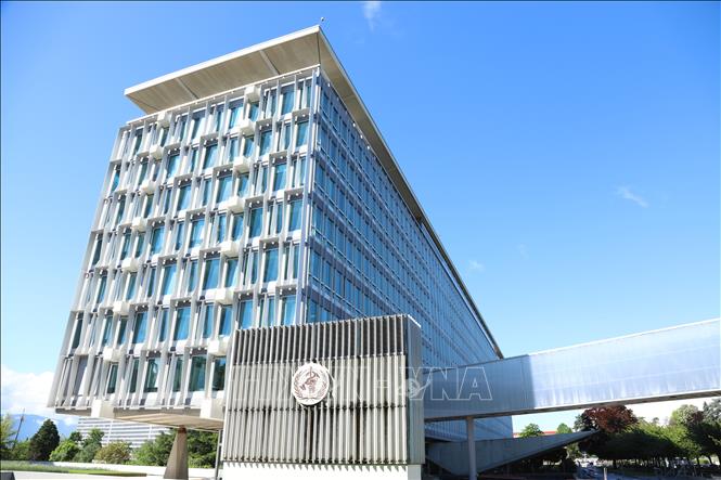 WHO: Cắt giảm tài trợ tạo cơ hội tái cấu trúc, xây dựng tổ chức tinh gọn hơn- Ảnh 1. WHO: Cắt giảm tài trợ tạo cơ hội tái cấu trúc, xây dựng tổ chức tinh gọn hơn- Ảnh 1.