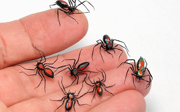 con trung dot 1 1684660763273525817155 0 0 371 594 crop 17718096031011021433415